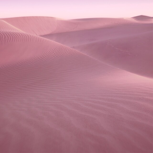 Desert Eden